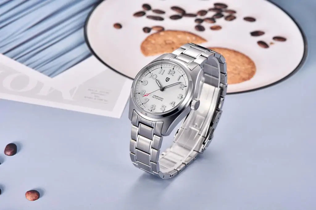 2025 PAGANI DESIGN Luxury Pilot Automatic Mechanical Watch 38MM Sapphire Waterproof Watch for Men Relogio Masculino PD1717 V2