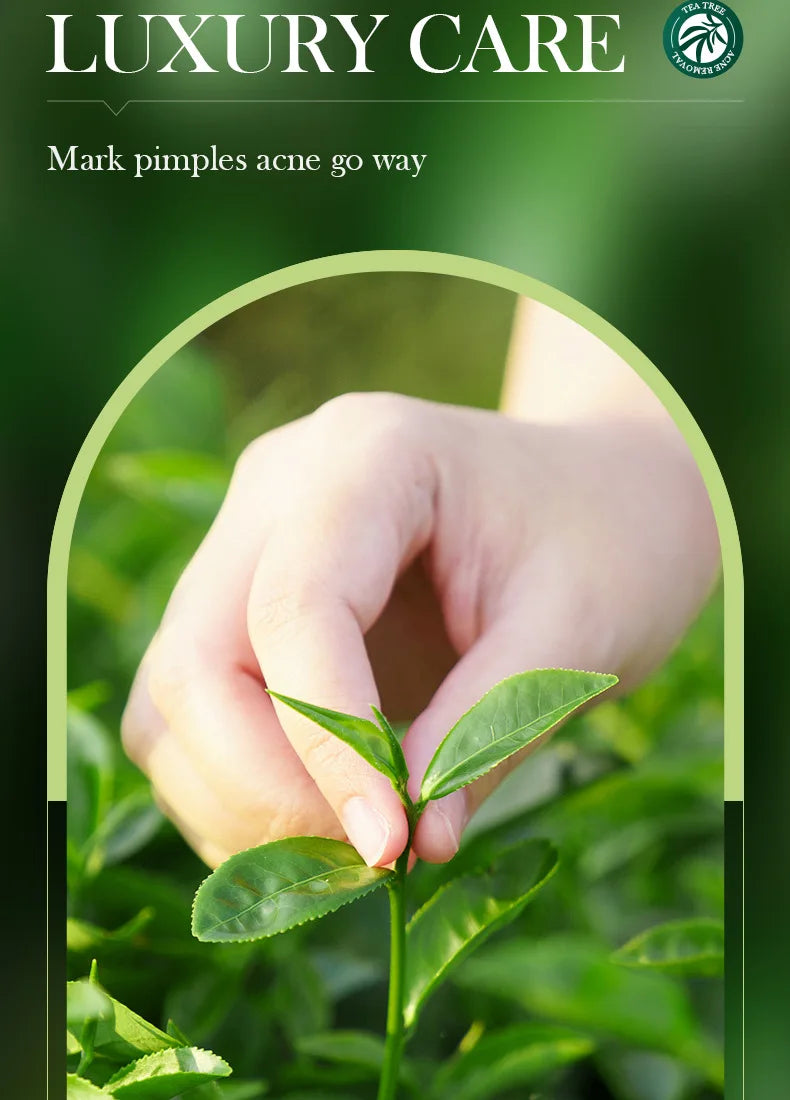 SADOER Tea Tree Acne Removing Cream Facial Skincare Oil Control Face Gel Creams Hydrating Moisturizing Facial Cream Skin Care