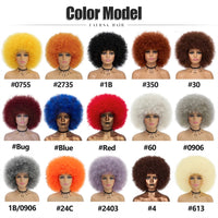Short Hair Afro Kinky Curly Wigs With Bangs for Black Women African Synthetic Ombre Glueless Cosplay Natural Blonde Red Blue Wig