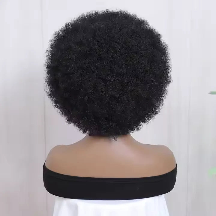 Hot Sale Wholesale Price Heat Resistant Synthetic Hair Wigs Curly Premium Wig Luxury Synthetic Afro Curly  Wigs