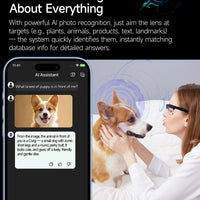 Smart AI Translation Smart Glasses Take Photos Recognizing Objects 4K Camera Bluetooth Music Call Intelligent Recording Glasses