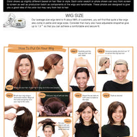 Gray Blonde Synthetic Wigs Dark Root Hairline Lace Frontal Straight Layered Wigs for Women Ladies Daily Use Wigs Heat Resistant