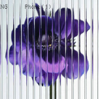 New Global Version Nothing Phone 1 5G Smartphone 100% Original Snapdragon 778G+ 6.55" OLED 120Hz Screen 50 MP Sony IMX766 Sensor