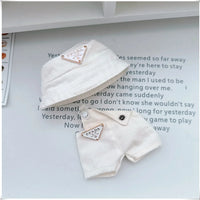 Para 15-17cm Labubu V1 V2 Idol muñeca traje sombrero monos ropa regalo Mini ropa de muñeca de peluche accesorios de atuendo