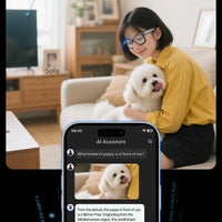 Smart Glasses 8 Million Pixels Recording Videos AI Photo Recognition Answer Translation 270mAh IP65 Waterproof Bluetooth Glasses