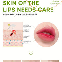 Lip Aloe Balm Nourishing, Refreshing, Hydrating and Moisturizing Preventing Cracking and Repairing Lips Gentle Non Irritating