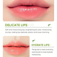 Lip Aloe Balm Nourishing, Refreshing, Hydrating and Moisturizing Preventing Cracking and Repairing Lips Gentle Non Irritating