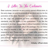 24 inch Synthetic Double Ended Dreadlock Extensions Brownish Blonde Fake Dreads Extensions Reggae Hippie Dreads for Women