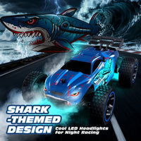 RC Cars Remote Control Car for Kids, 1:18 Scale 20 KM/H 2WD Offroad Buggy, 2.4GHz RC Racing Car with USB-C Easy Charging