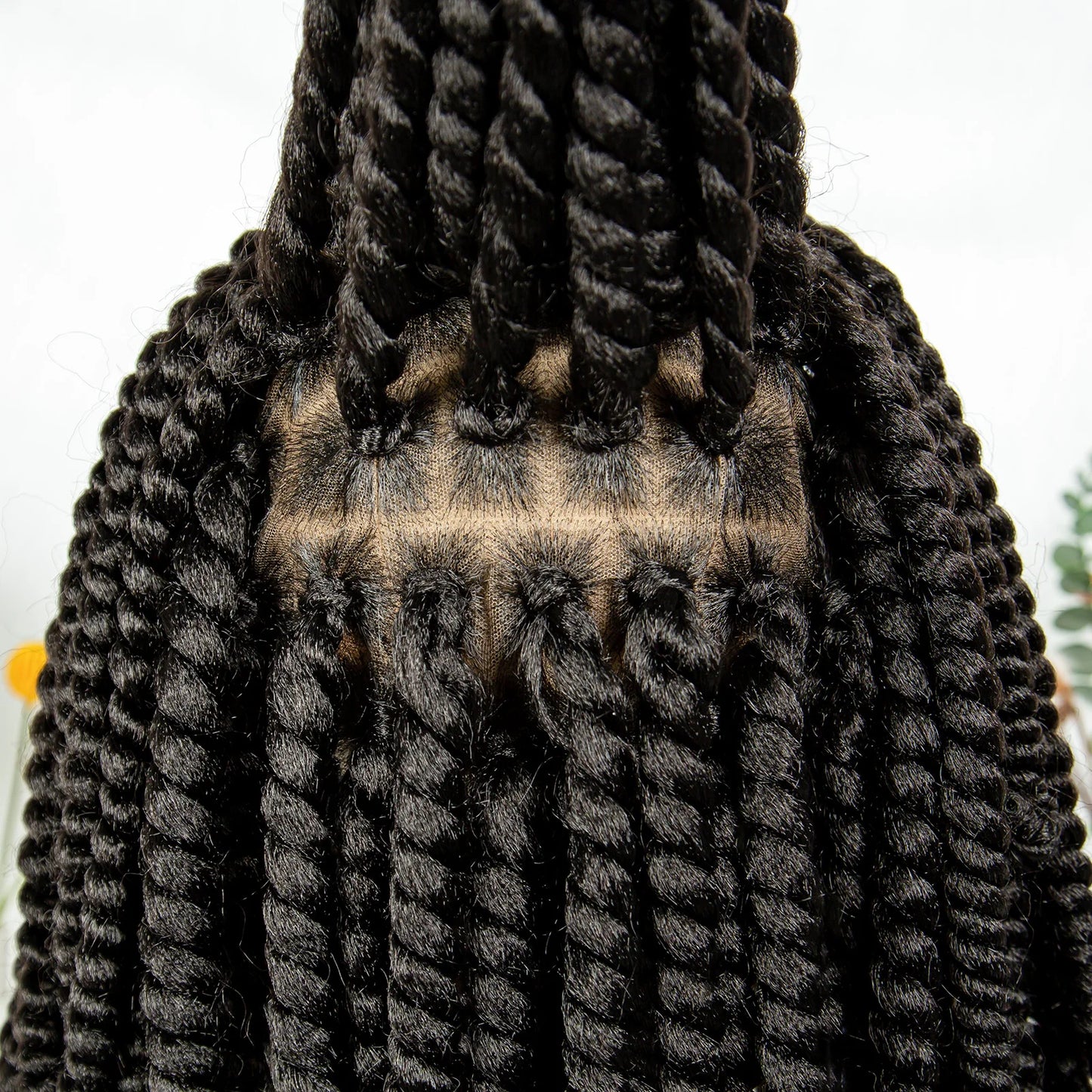 16" Full Lace Twisted Braided Wigs for Black Women Synthetic HD Lace Front Braids Wigs with Baby Hair Natural Lace Braiding Wigs