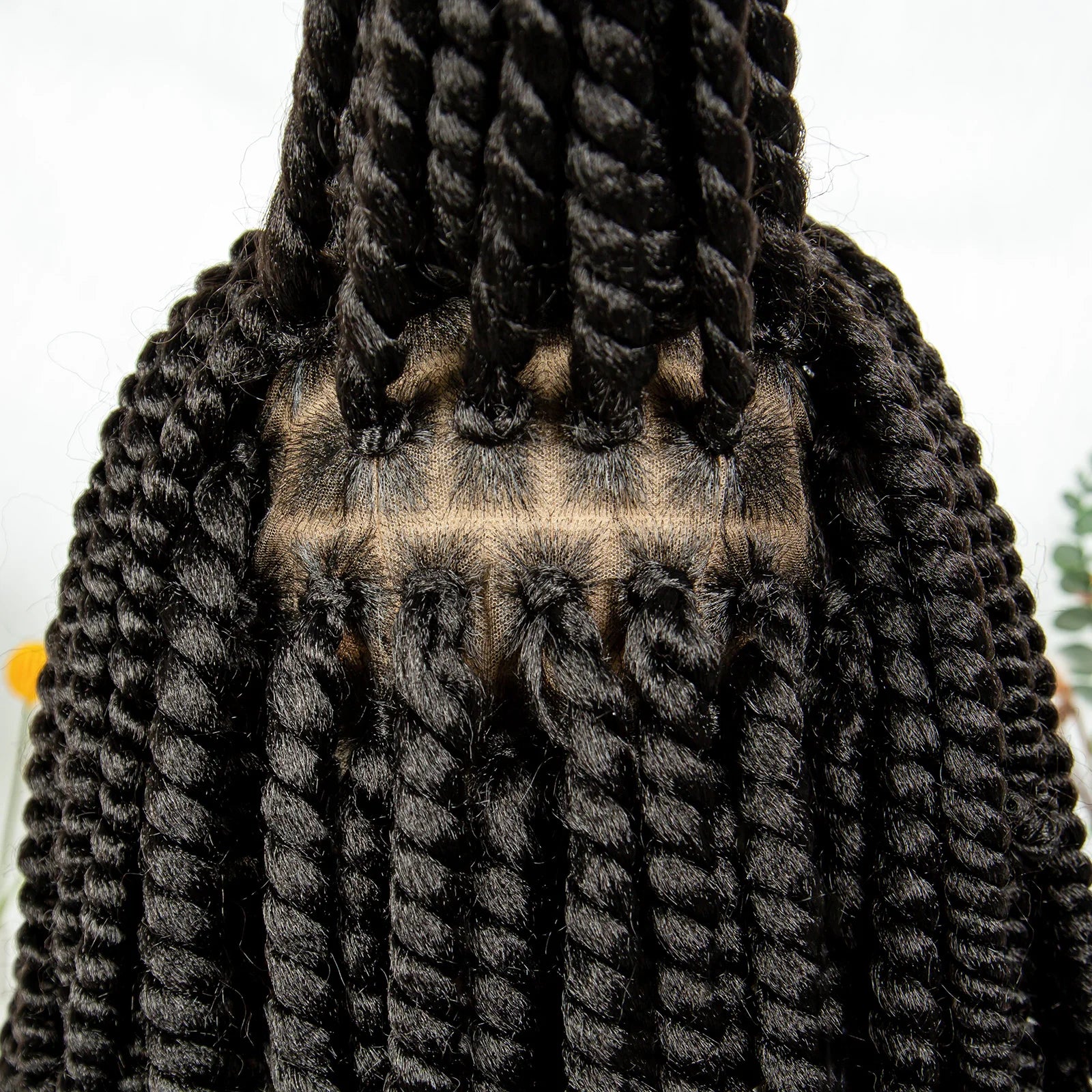 16" Full Lace Twisted Braided Wigs for Black Women Synthetic HD Lace Front Braids Wigs with Baby Hair Natural Lace Braiding Wigs